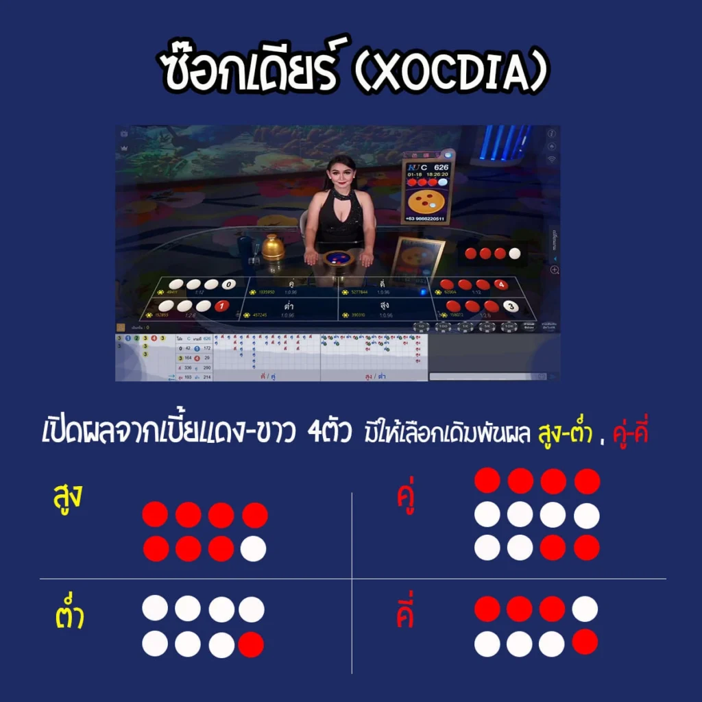 ทำความรู้จักกับ ซ็อกเดียร์ออนไลน์ คืออะไร